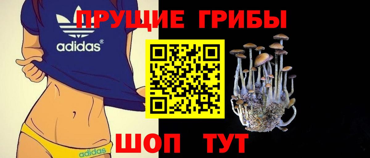 Галлюциногенные грибы GOLDEN TEACHER  Вход с VPN  Владивосток  Псилоцибиновые грибы мицелий 